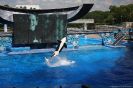 Urlaub2010_56