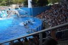 Urlaub2010_58