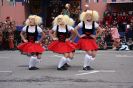 GauklertagDi2009_44