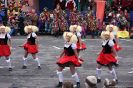 GauklertagSon2009_33