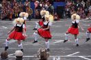 GauklertagSon2009_53