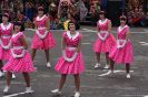 GauklertagSon2009_7