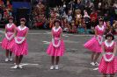 GauklertagSon2009_8